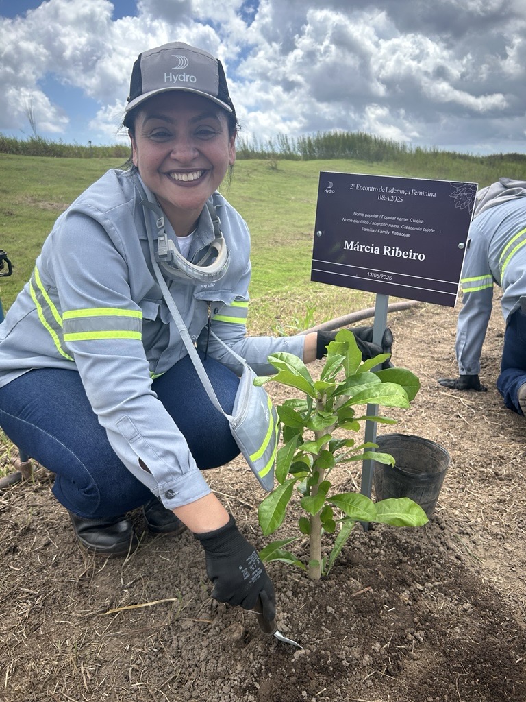 Ação ambiental na Alunorte, Hydro